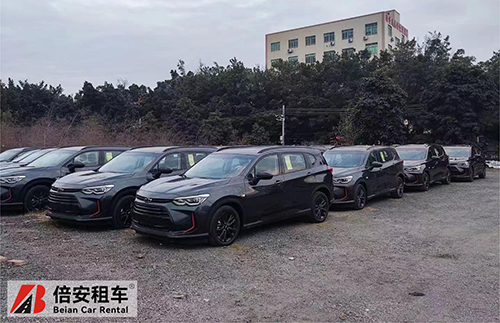 缩略图2.jpg